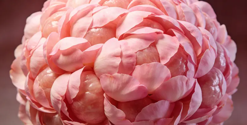 果洛乳腺/卵巢癌120基因ctDNA突变检测（血液）检测图1