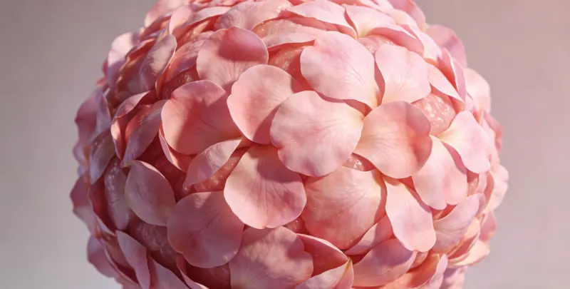 乳腺/卵巢癌120基因ctDNA突变检测（血液）图4